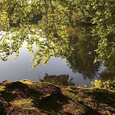 Klosterhotel Walkenried Eksteriør billede