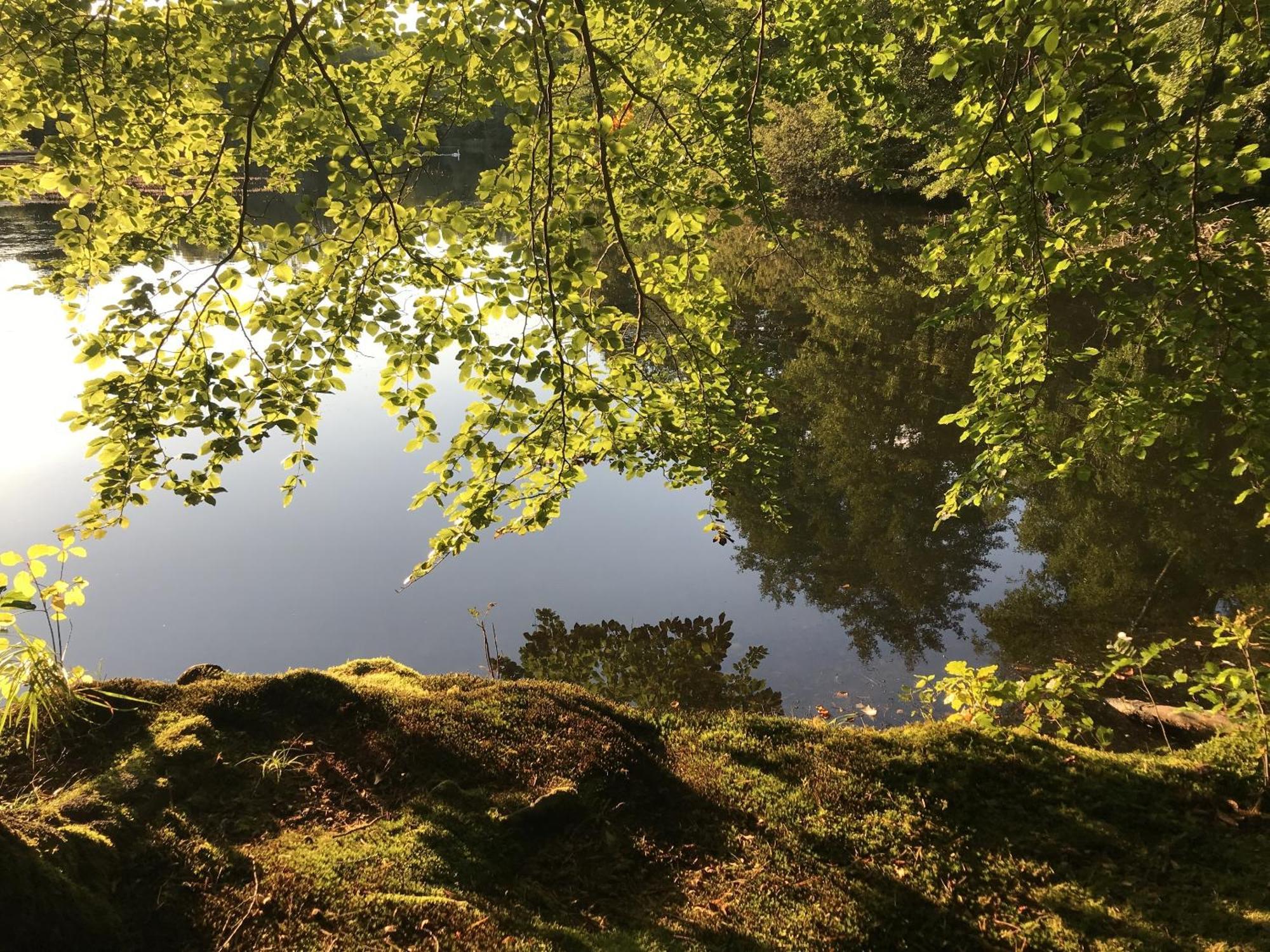 Klosterhotel Walkenried Eksteriør billede