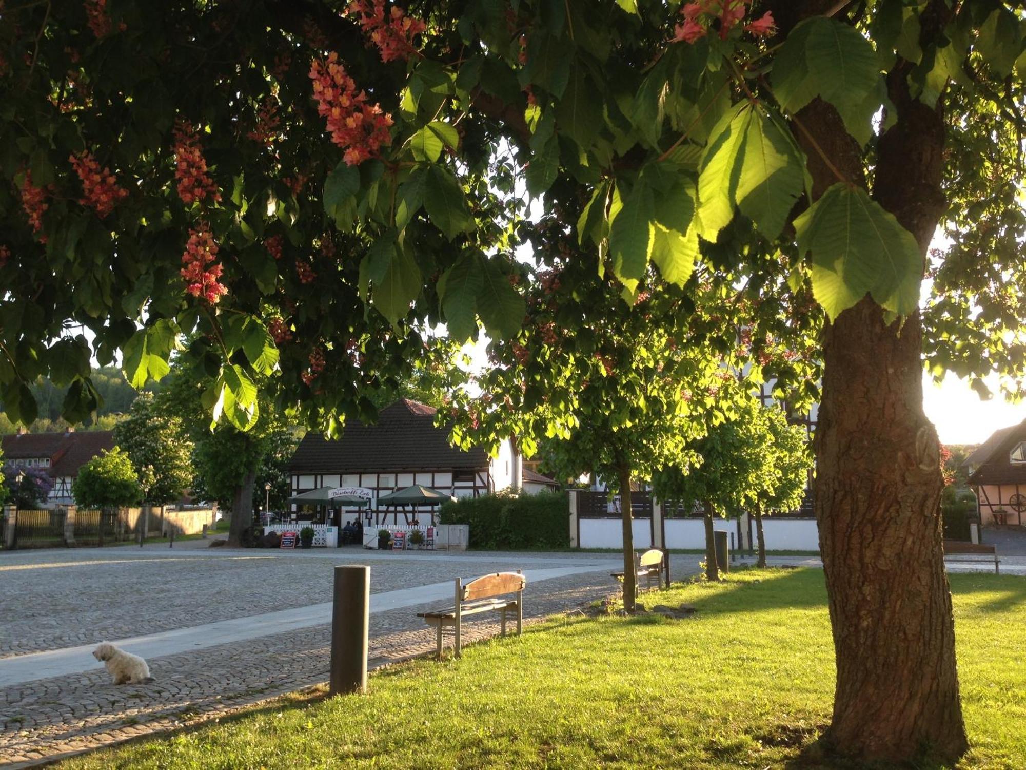 Klosterhotel Walkenried Eksteriør billede