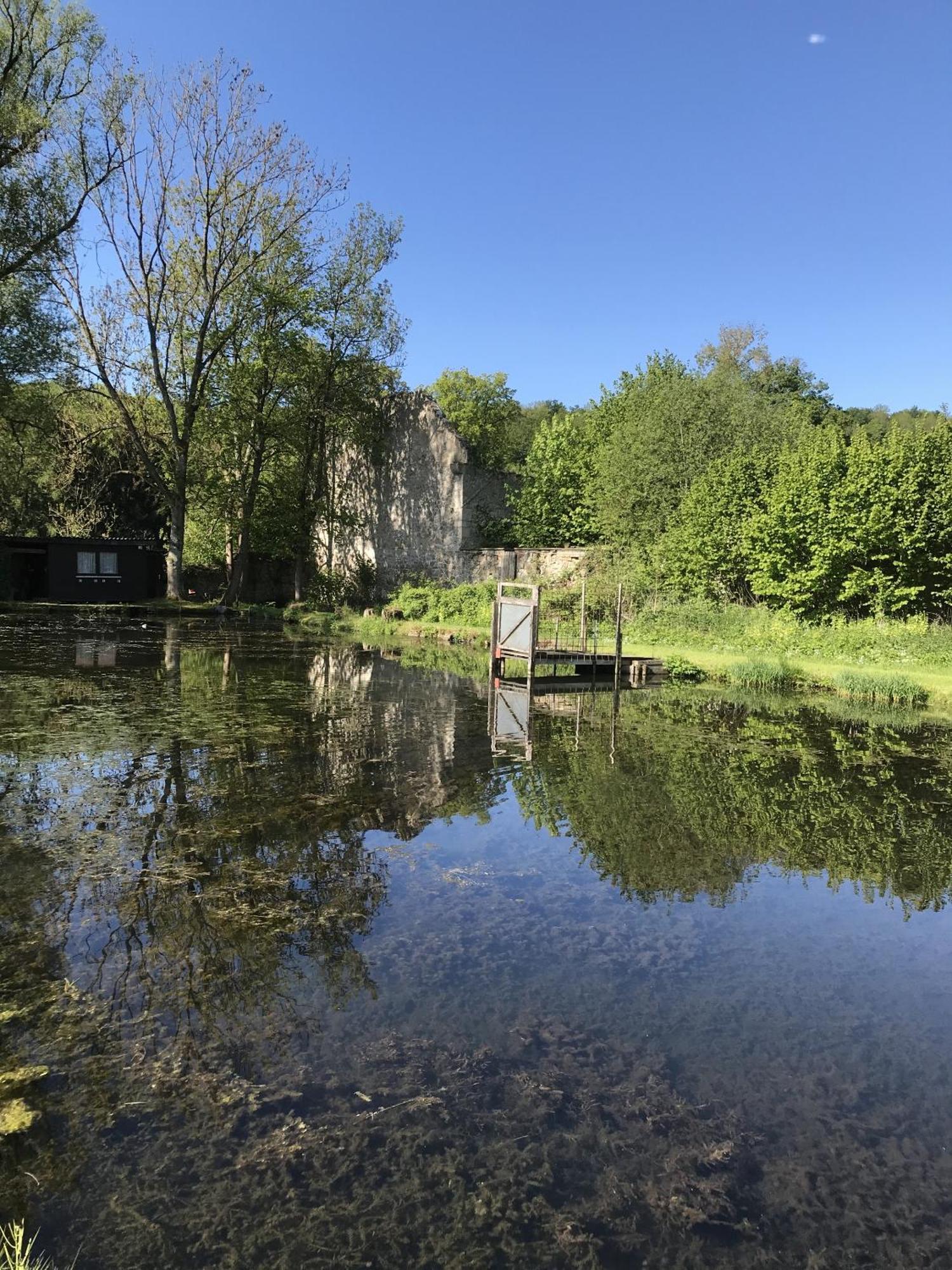 Klosterhotel Walkenried Eksteriør billede